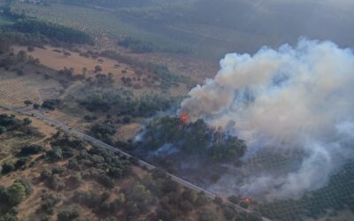 El Infoca trabaja en un incendio forestal en Torres de Albánchez