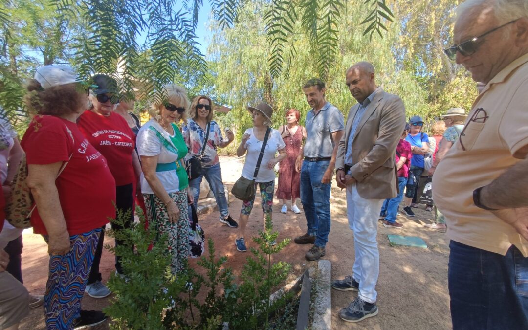 El CEE consolida el programa ‘Semillas de Experiencia’ con 646 participantes de 14 entidades de Jaén
