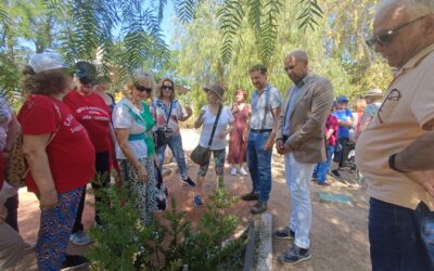 El CEE consolida el programa ‘Semillas de Experiencia’ con 646 participantes de 14 entidades de Jaén