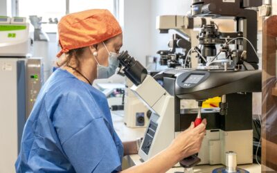 El Hospital de Jaén registra 137 gestaciones en su Unidad de Reproducción Asistida
