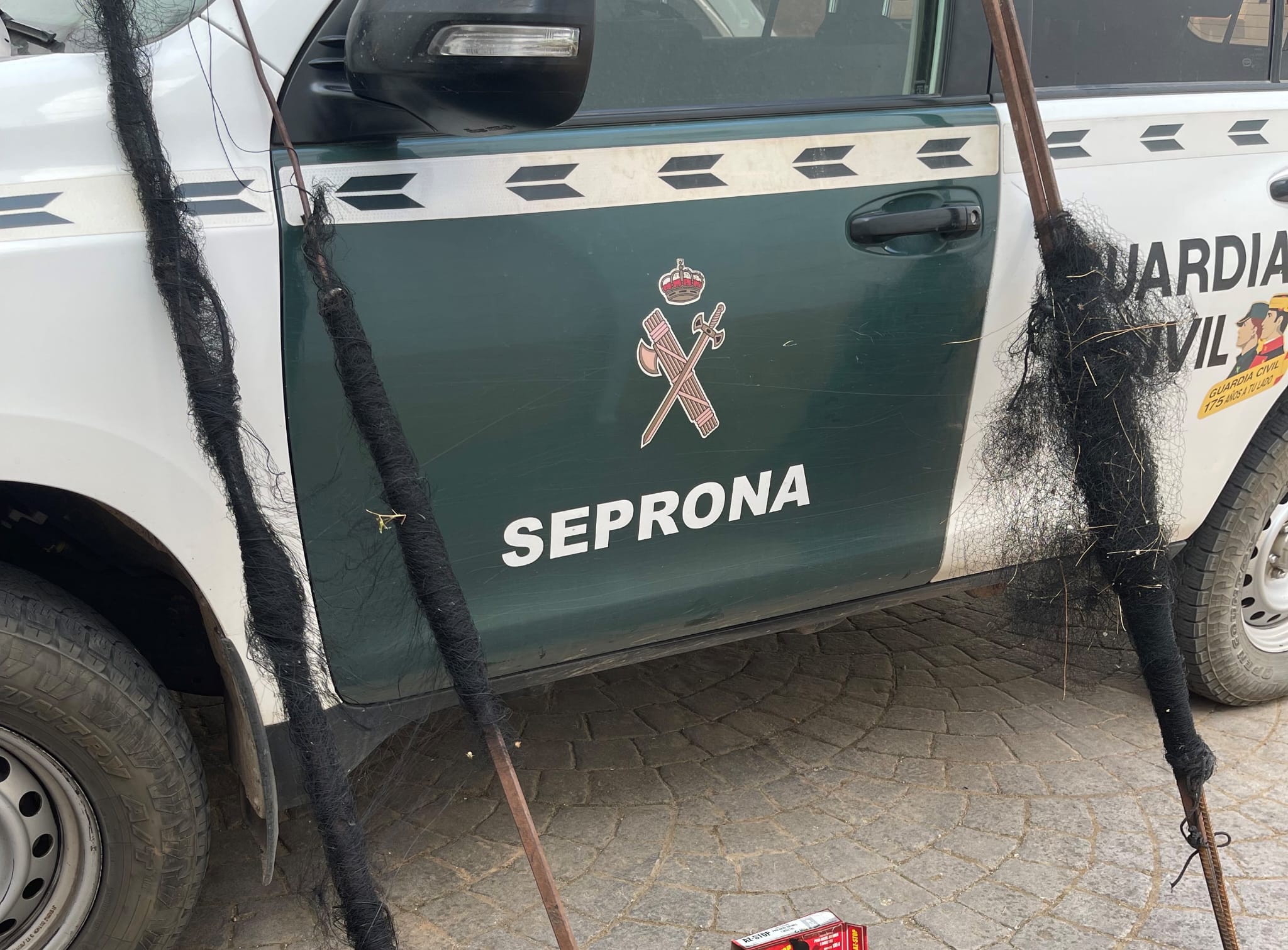 La Guardia Civil investiga a un vecino de Beas de Segura por la captura ilegal de aves fringílidas