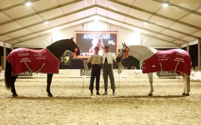 Andújar reúne a 110 ejemplares de Pura Raza Española en la XXII edición de Anducab